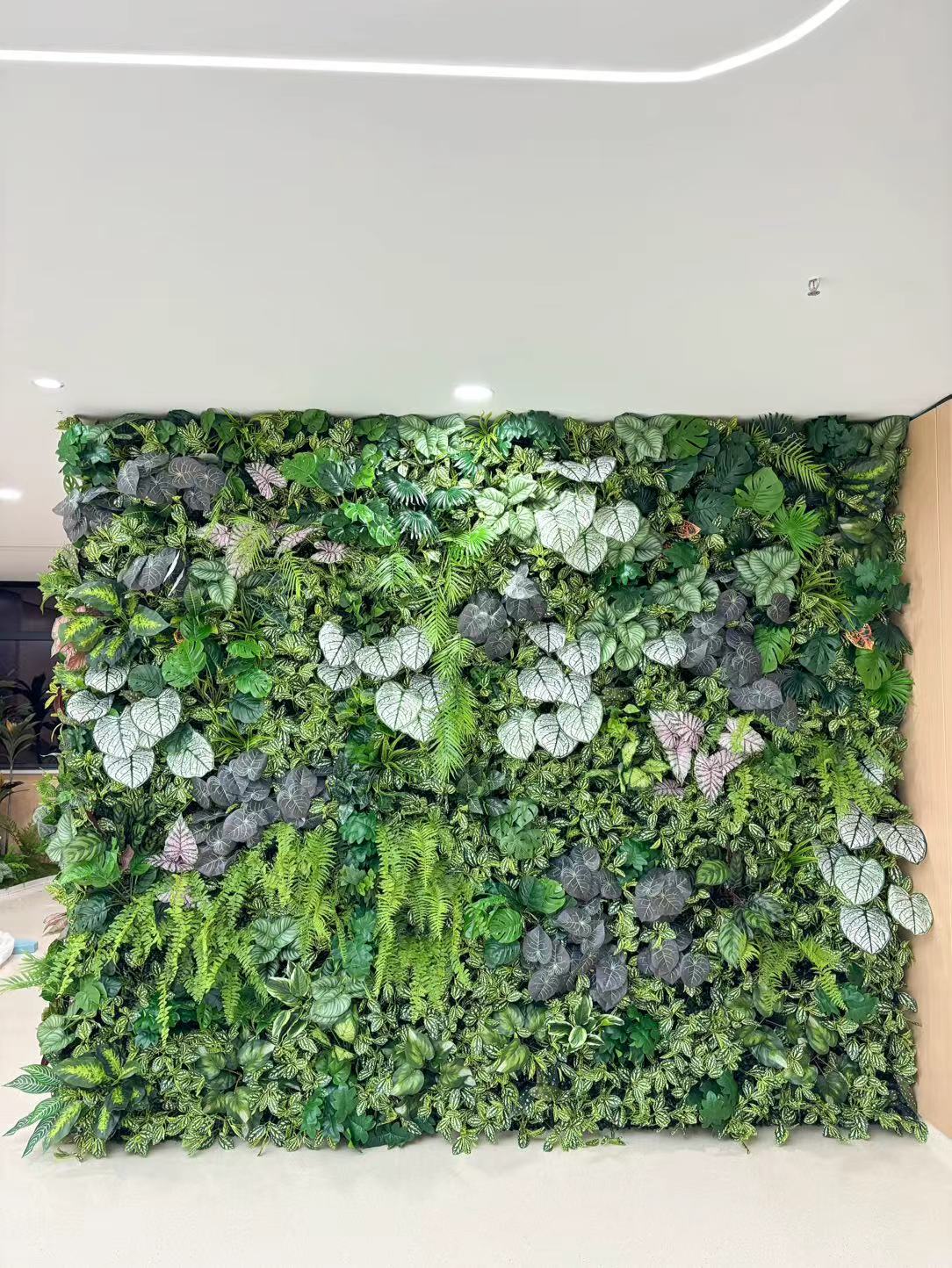 墙6) (2).jpg