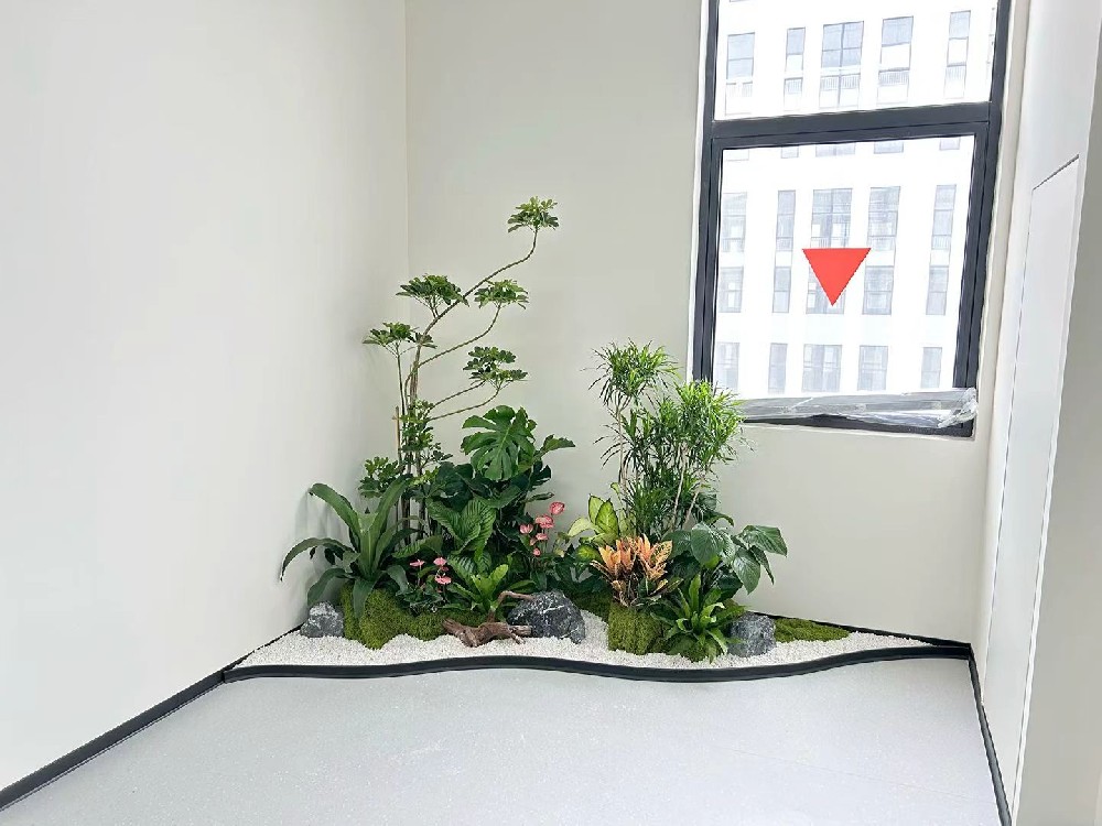 苏州吴江微康益生菌办公室绿植造景