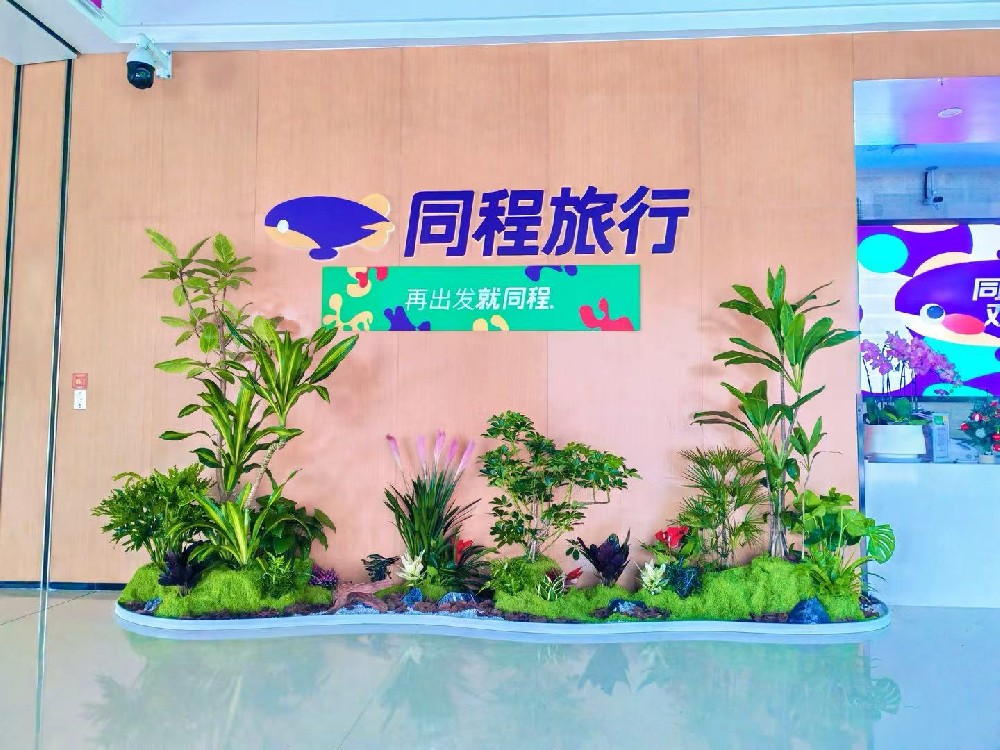 绿植造景